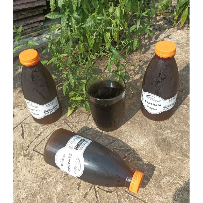 

Sambiloto - Minuman Jamu Herbal