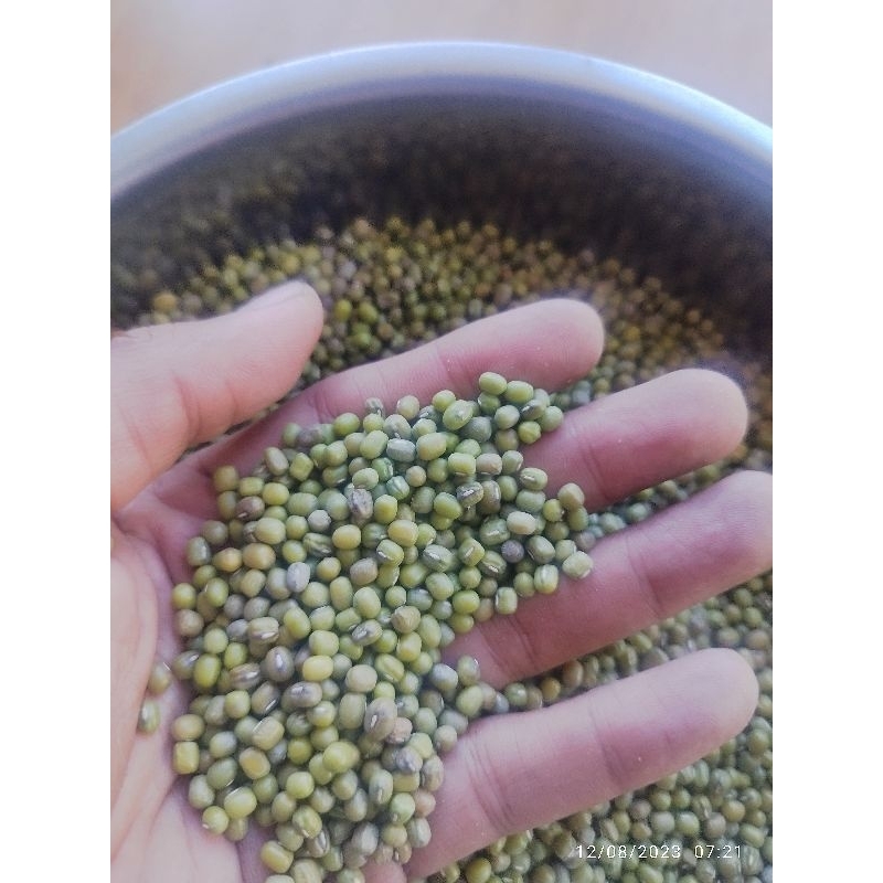 

kacang hijau 250 gram grade A