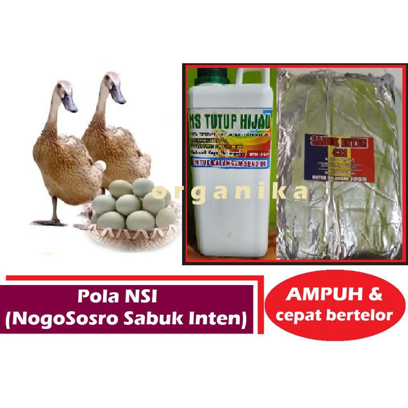 Vitamin Bebek Petelur SI 421 dan NogoSosro Nutrisi Itik Ampuh Cepat Bertelur