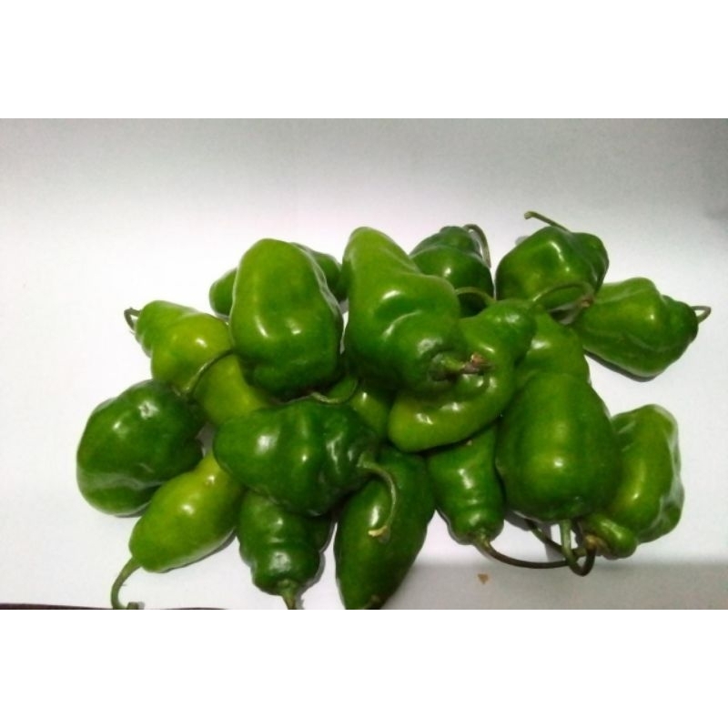 

cabai gendot hijau.cabai.gendot.gombol.paprika.kriting .rawit.cabe cabe