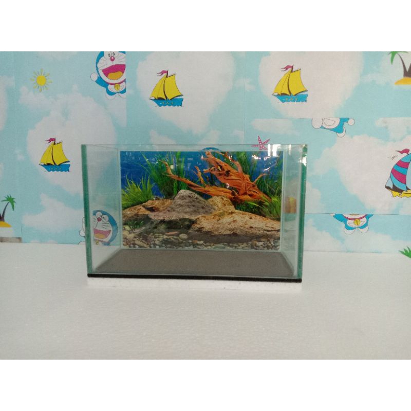 Aquarium cantik 20 X 15 X 15