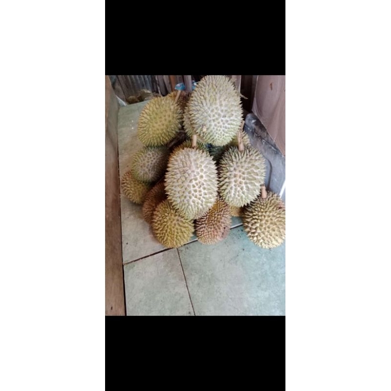 

duren lokal
