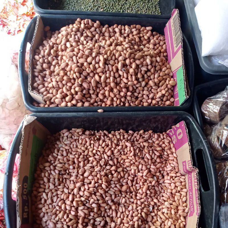

kacang tanah