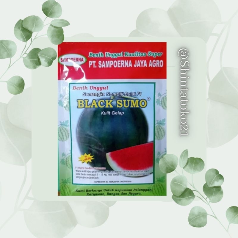 TERMURAH benih semangka non biji BLACK SUMO *isi 300 biji*