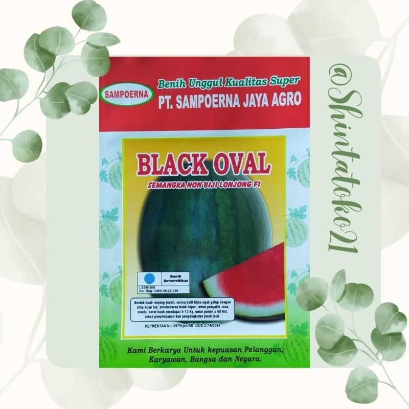 Benih semangka non biji Black oval (Geratis Kaos/hoodie setiap pembelian 15 bungkus)