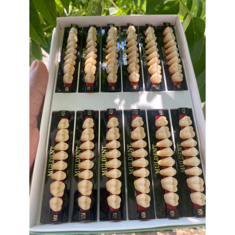 GIGI MULDENT GERAHAM 1BOX ISI 12 PAPN