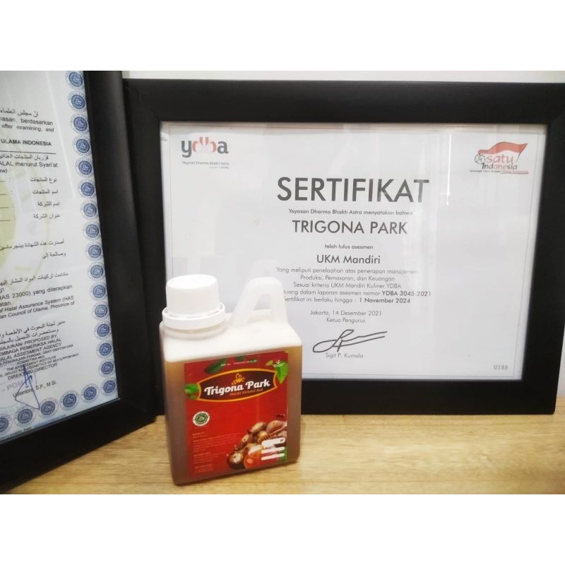 

Madu Kelulut Asli (Trigona Park)