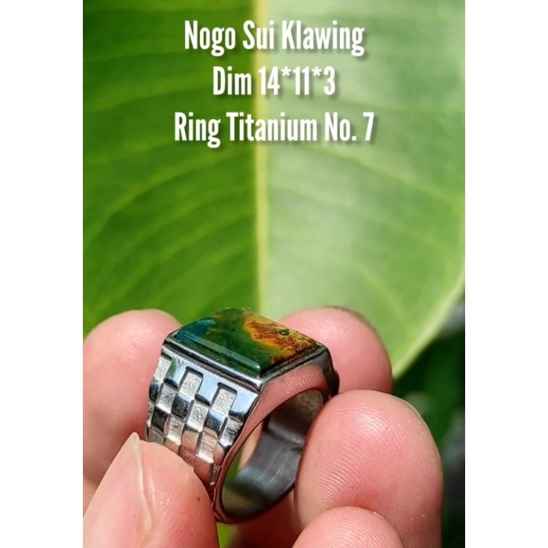 Batu Akik Nogo Sui Klawing