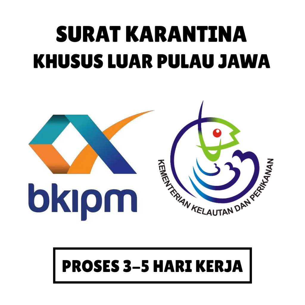 

SURAT KARANTINA BKIPM UNTUK PENGIRIMAN KE LUAR PULAU JAWA DAN BALI