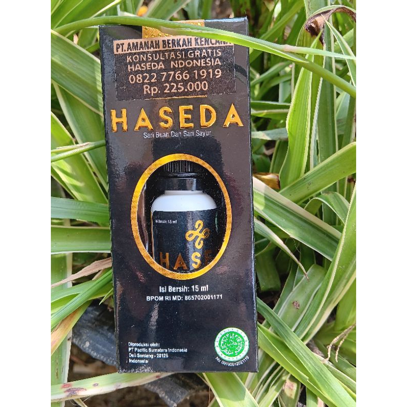 Haseda Khusus Apotik 1Box Isi 10pcs