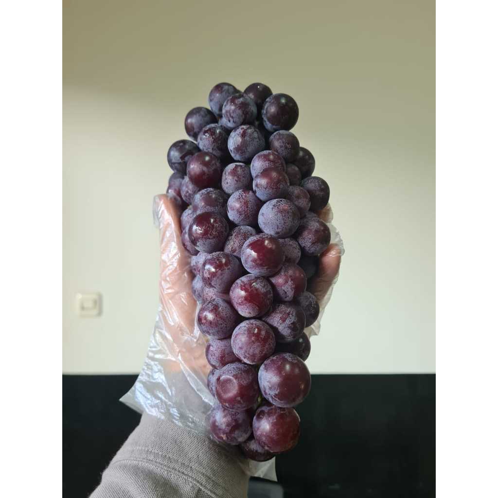 Summer Black Grape Seedless - Buah Anggur Hitam Tanpa Biji - Buah Import
