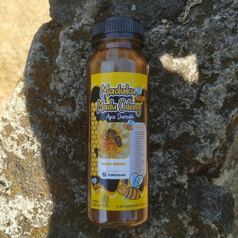 

Maduku Madu Odeng Apis Dorsata Madu Hutan Asli 250ML