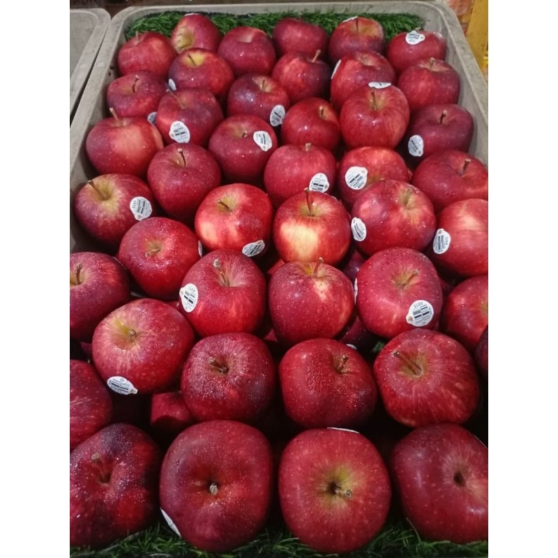 

Apel Merah