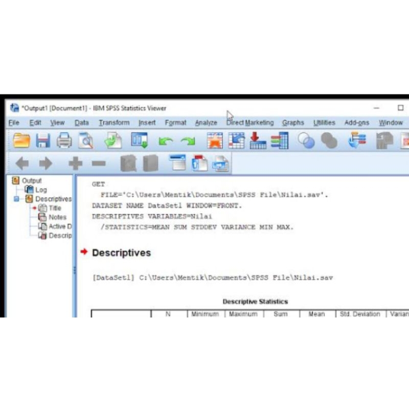 jasa pengolahan jasa SPSS