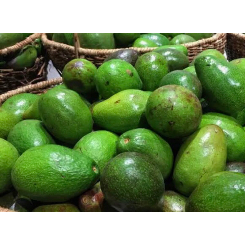 

ALPUKAT FRESH 1kg