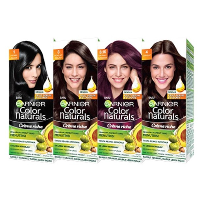 GARNIER HAIR COLOR