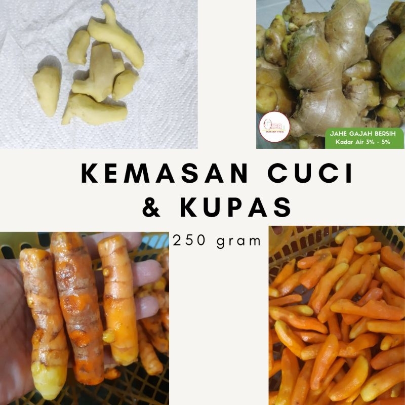 

Jahe Gajah Kupas 100gr/Kunyit Super Kupas 100gr/Jahe Gajah Cuci Bersih 100gr/Kunyit Super Cuci Bersih 100gr/Lengkoas Kupas 100gr