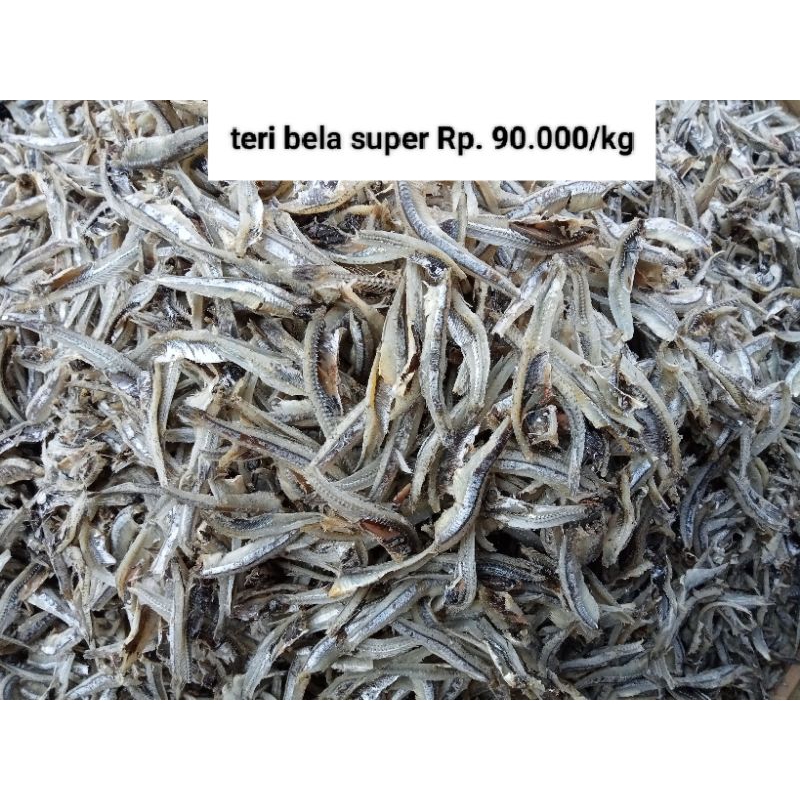 

Ikan Teri Kacang Super