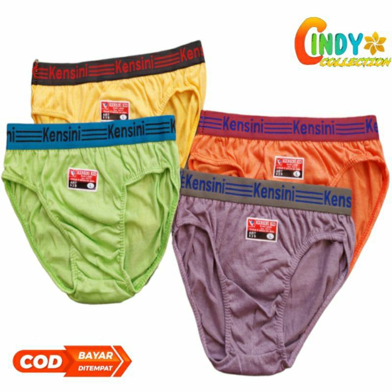 6 PCS CELANA DALAM ANAK LAKI LAKI KENSINI | CD ANAK LAKI LAKI KARET BOXER