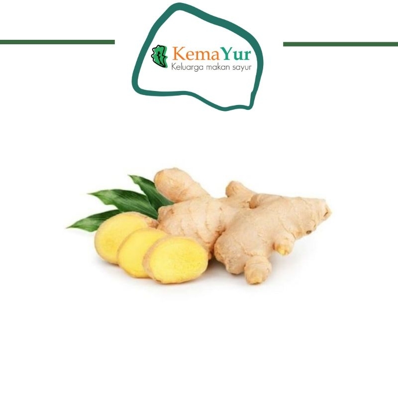 

JAHE FRESH REMPAH RESEP JSR 250 GR