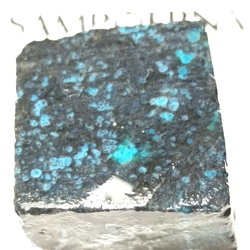 BACAN DOKO ASLI NATURAL dim 23x20x10
