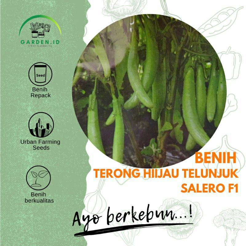 25 Biji - Benih Sayuran Terong Hijau Telunjuk SALERO F1 Cap Panah Merah