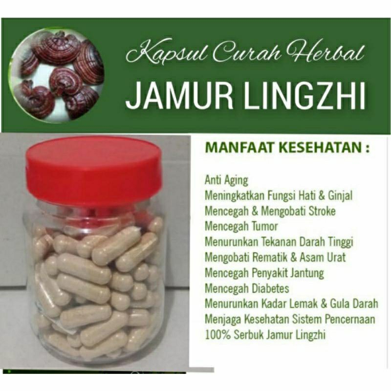 

JAMUR LINGZHI 100 KAPSUL OBAT HERBAL TERBAIK (PREMIUM QUALITY)