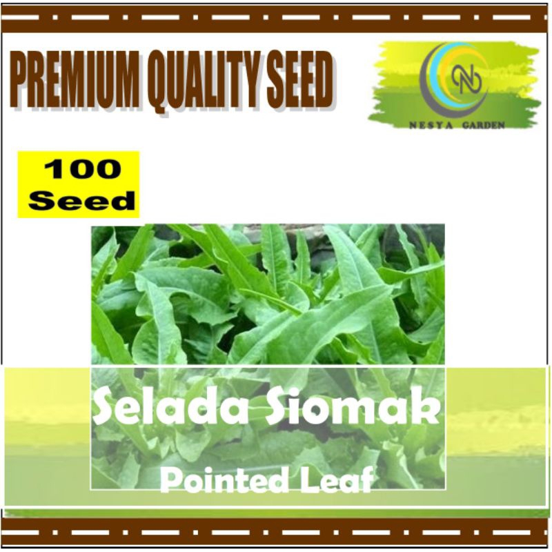 100 Benih Selada Siomak Pointed Leaf Know You Seed Benih Repack Berkualitas