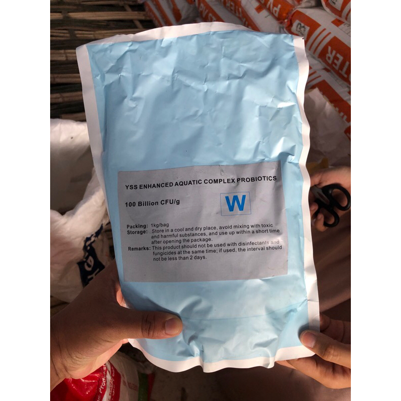 Bakteri Bacillus 100 Milyar ( Pangkat 11 )