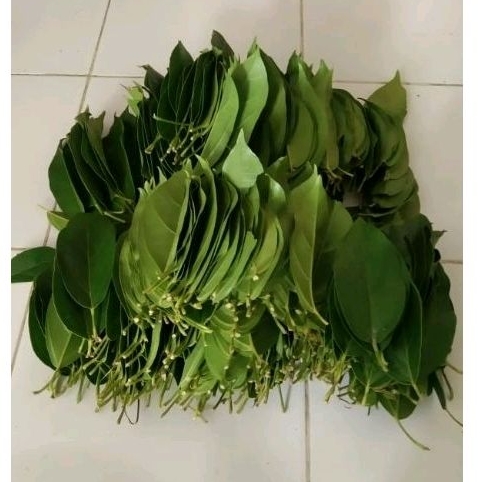 

Daun CINCAU perdu 1kg