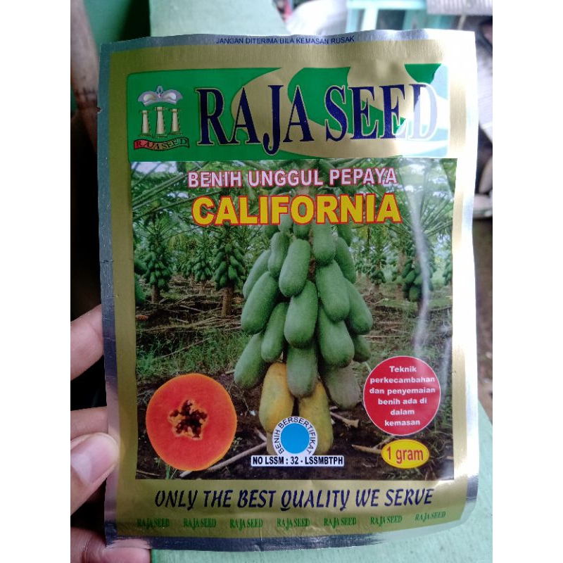 Benih Pepaya CALIFORNIA Raja Seed 1 gram
