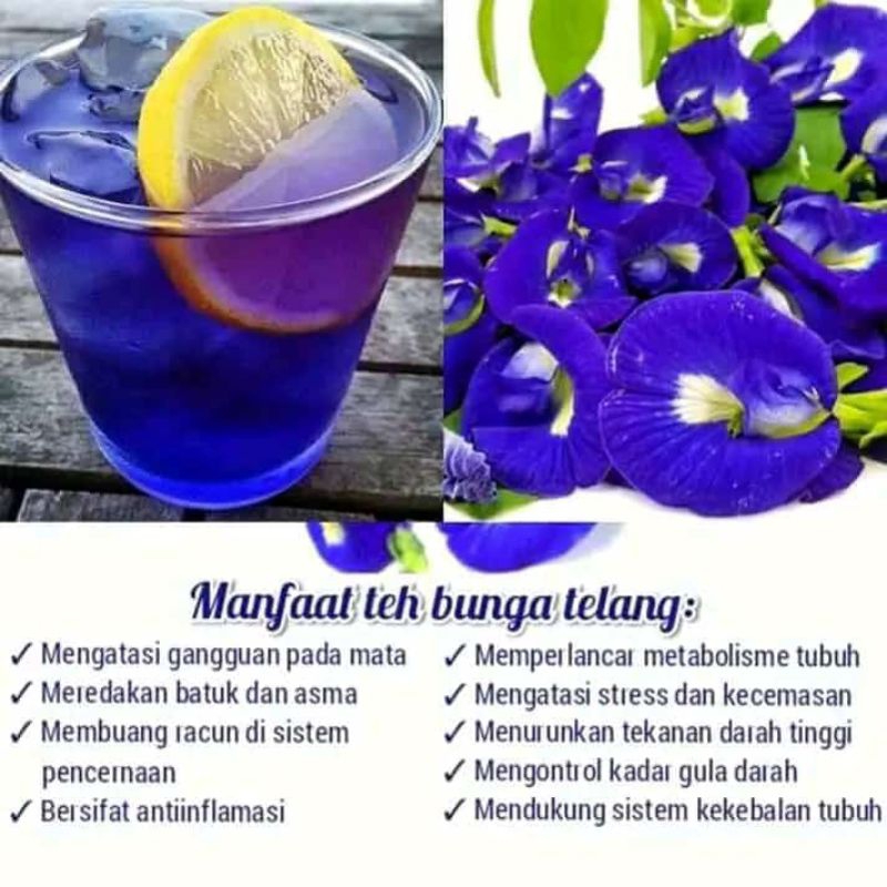 

Teh Bunga Telang Kering/Butterfly Pea Tea Organik 50g