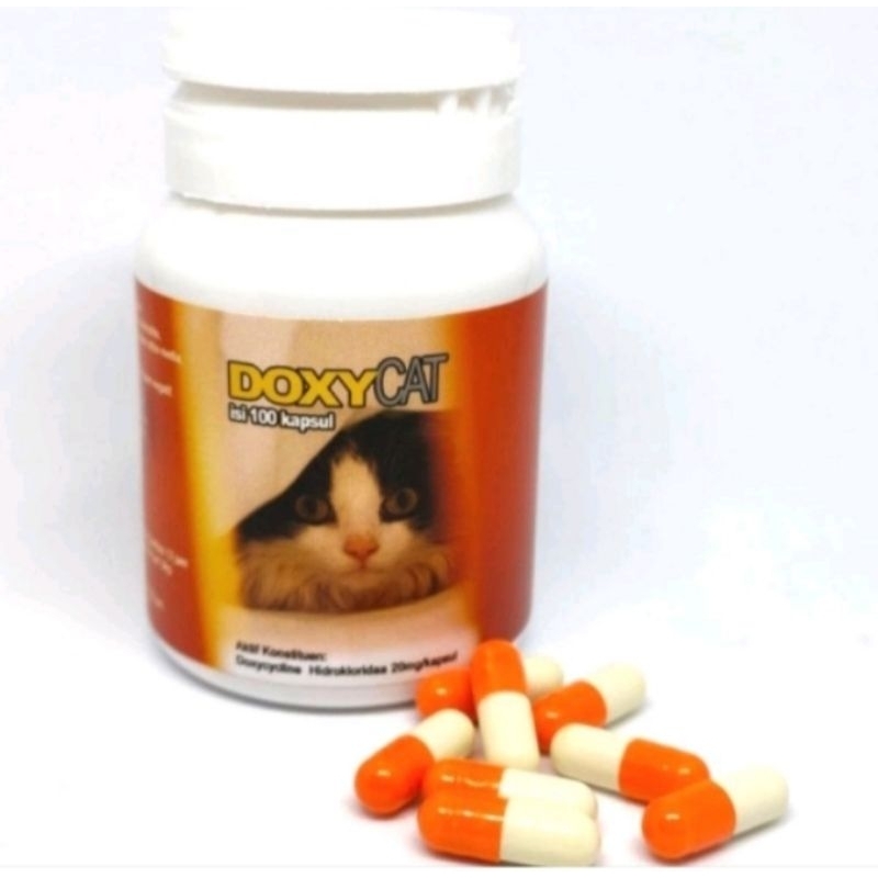 Im Organic Doxy Cat Kapsul Obat Pilek Ecer