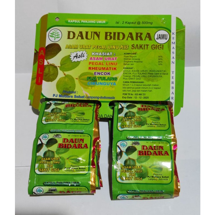 

DAUN BIDARA JAMU SAKIT GIGI DAN ASAM URAT AMPUH