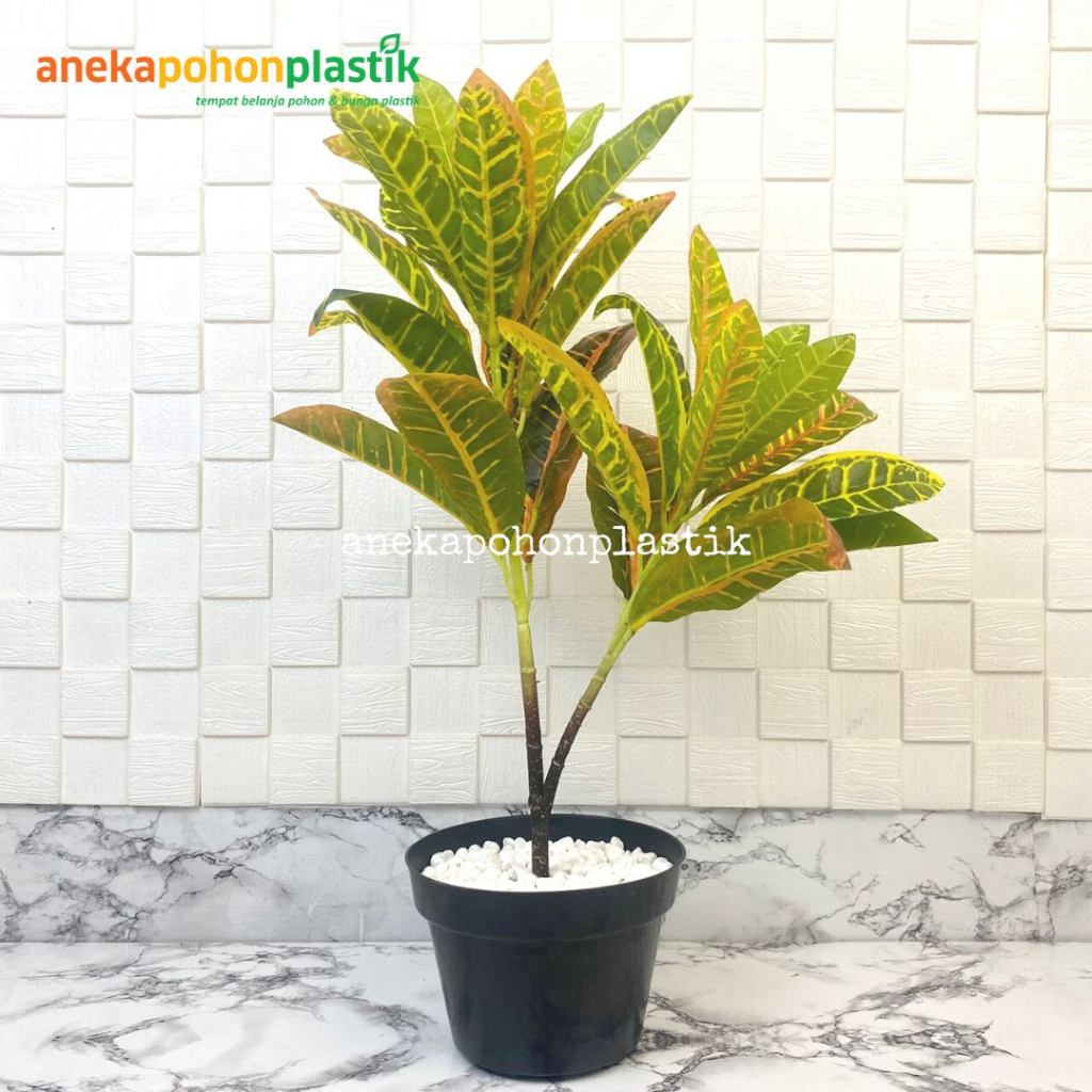 Pohon Hias Plastik Daun Puring Worten X2 T50 Pot Dasar Hitam Dekorasi Studio Aesthetic