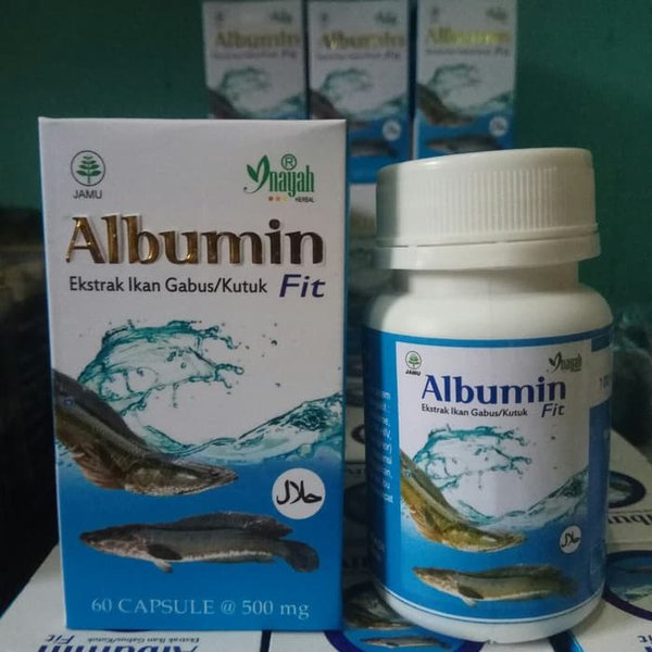 

Albumin Fit Kapsul Ekstrak Ikan Gabus