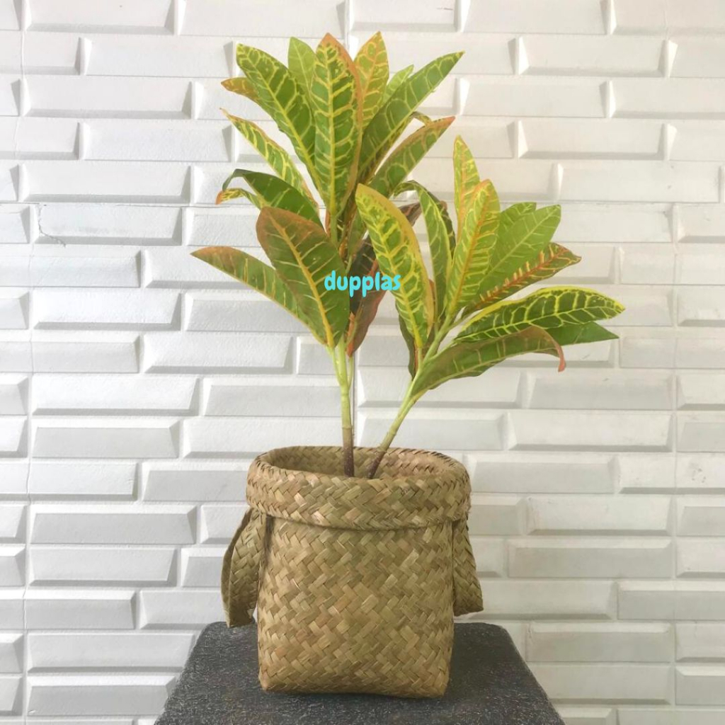 Pohon Hias Plastik Puring Worten X2 T50 Cover Pot Anyaman Purun Handle S Pajangan Meja Tamu