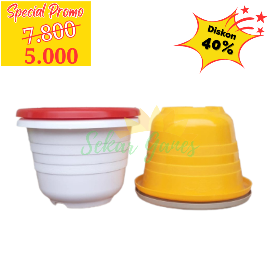 POT MAHKOTA 20 CM PUTIH KUNING BIRU ORANGE GOLD - BUNGA TANAMAN BIBIT - BUKAN POT GLORY PUTIH UKURAN MIRIP TAWON 21 CM MURAH