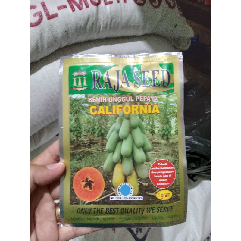 Bibit Pepaya California Raja Seed Matang 1 Gram