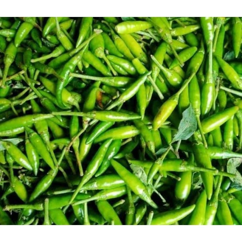 

Cabai rawit hijau / cabai caplak / cabe / lombok / chili