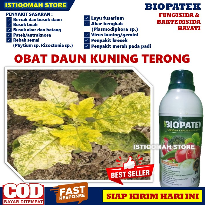 Obat Daun Kuning Terong Ungu BIOPATEK 500ML Fungisida Bakterisida Hayati Obat Semprot Daun Kuning Pada Terong, Obat Tanaman Terong Daun Kuning, Obat Daun Keriting Pada Tanaman Terong, Obat Daun Bule Terong Ungu Paling Manjur dan Bagus MURAH TERLARIS