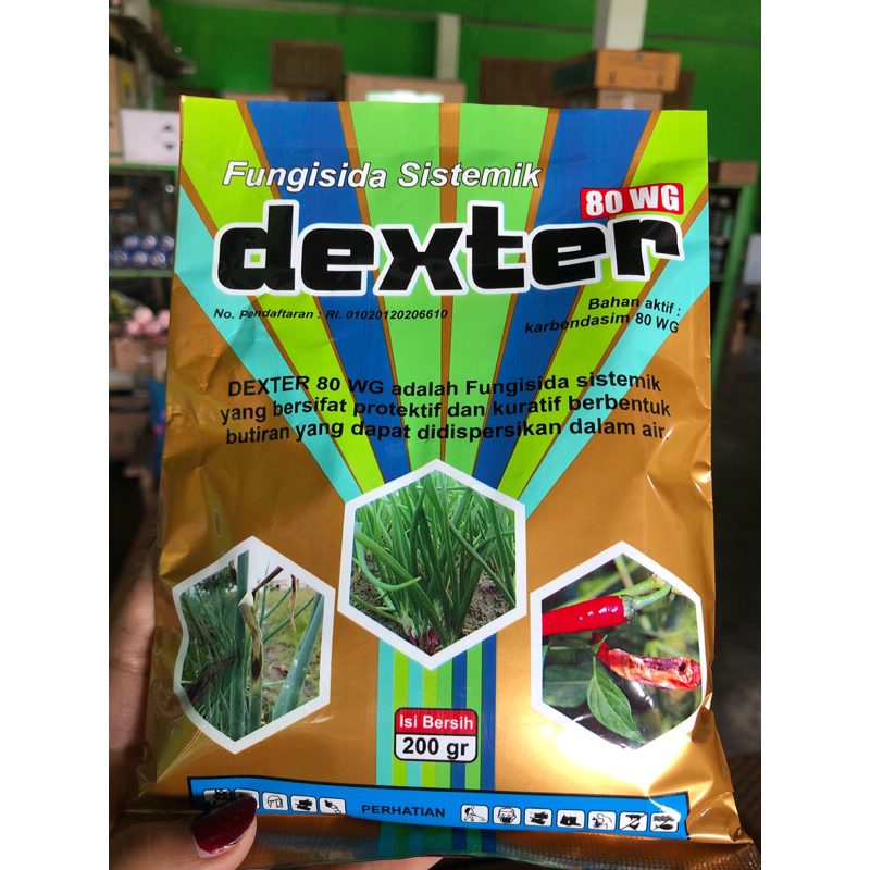 DEXTER KARBENDASIM 80WG FUNGISIDA SISTEMIK