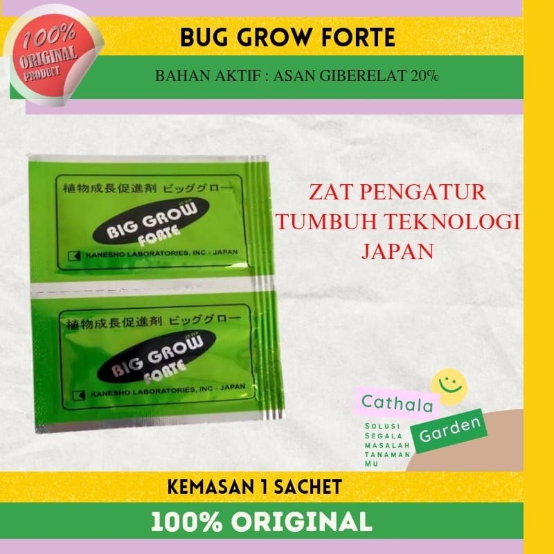 ZAT PENGATUR TUMBUH TANAMAN (ZPT) BIG GROW FORTE 20 WP KEMASAN 1 SACHET