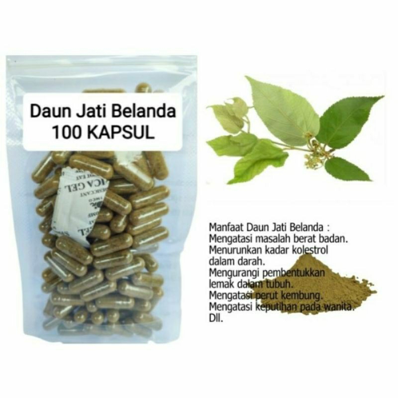 

DAUN JATI BELANDA Kapsul Herbal Alami Kemasan Hemat - isi 100 pcs