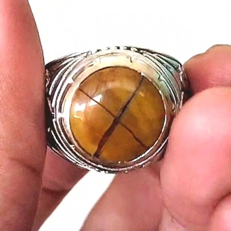 Batu akik ati ayam tapak jalak