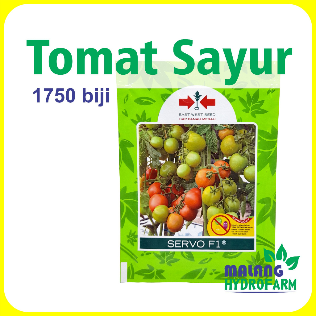 Benih Tomat Sayur Servo F1 1750 Biji Cap Panah Merah Dataran Rendah Menengah Buah Bibit Gustavi