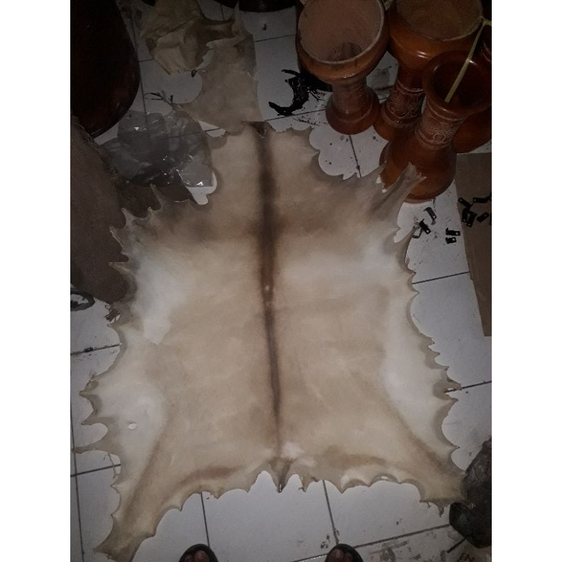 kulit kambing super