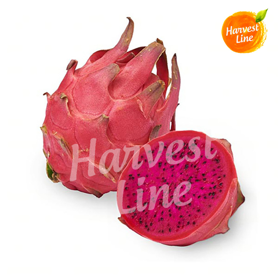 

[GROSIR] BUAH NAGA PREMIUM MERAH DRAGON FRUIT per DUS