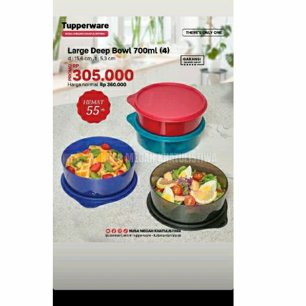 Large Deep Bowl Tupperware / tempat bekal tupperware