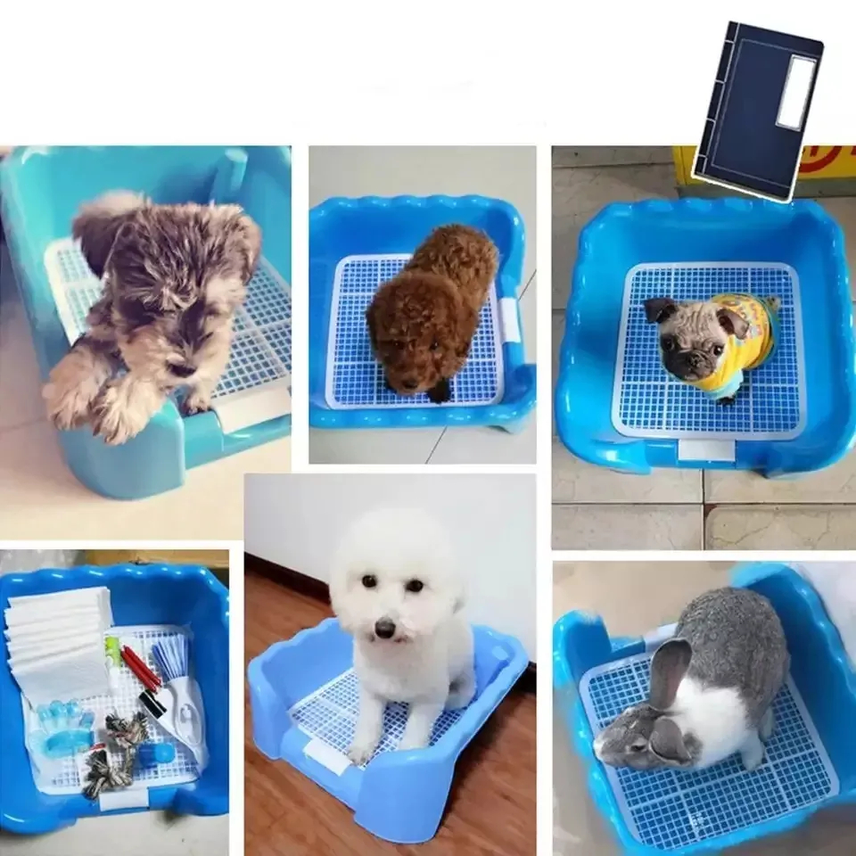 Pet Toilet Training Tempat Pup Pee Anjing Tempat Kecing Hewan Tempat Pup Pee Anjing Tempat Kecing Hewan